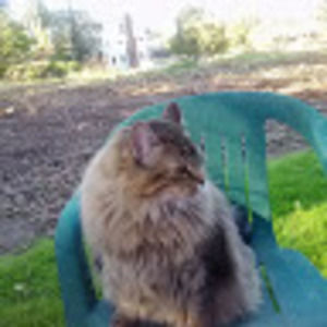 Meet your Posher, Joanne